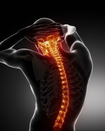 Illustration of a person from behind with the spine highlighted